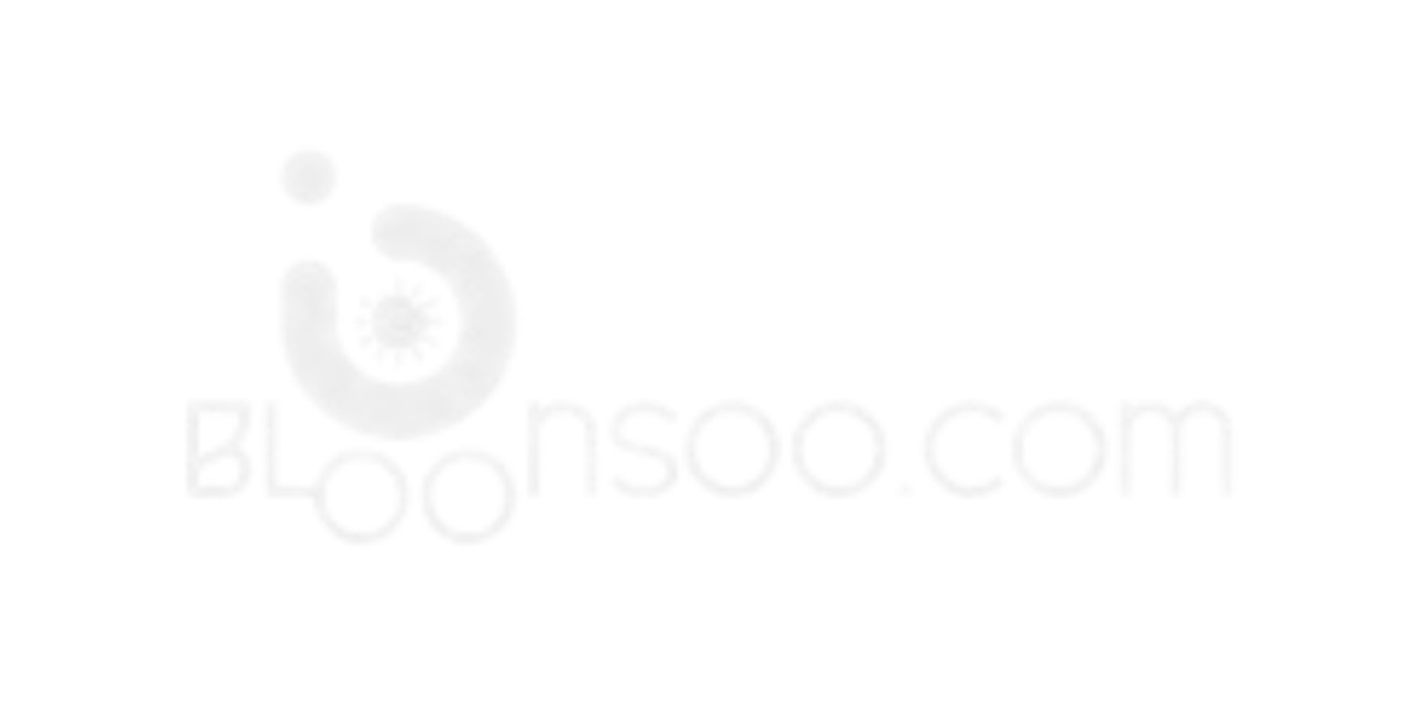 Bloonsoo Logo
